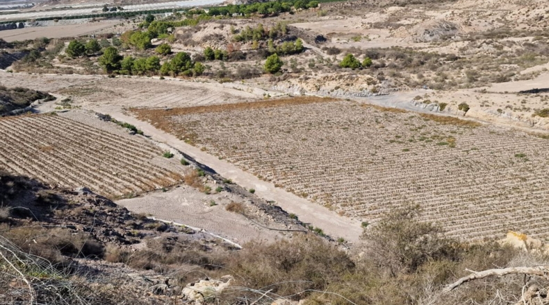 Murcia - Águilas - 115000m2