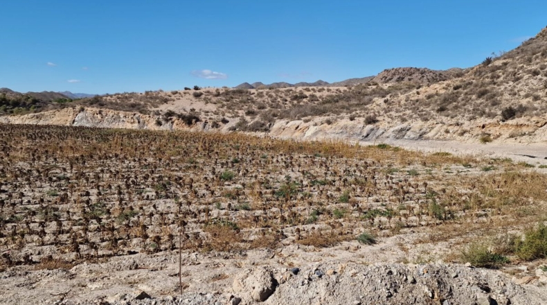 Murcia - Águilas - 115000m2