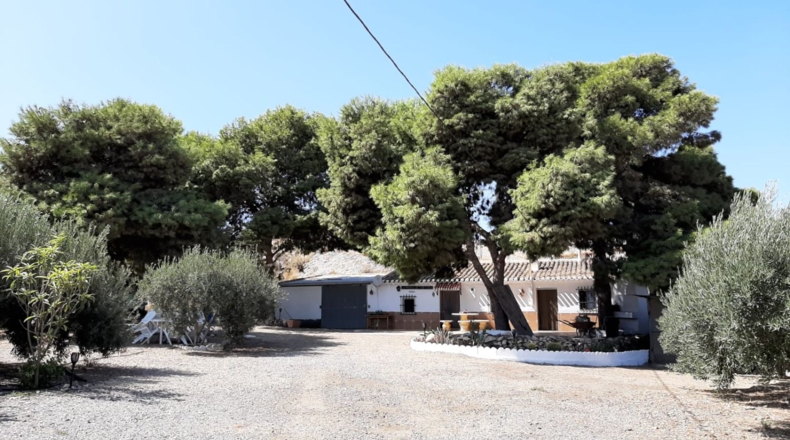 Murcia - Águilas - 6000m2