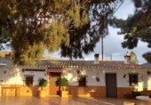 Casa de camp amb terreny en venda a Àguiles ref.: TR254653 foto