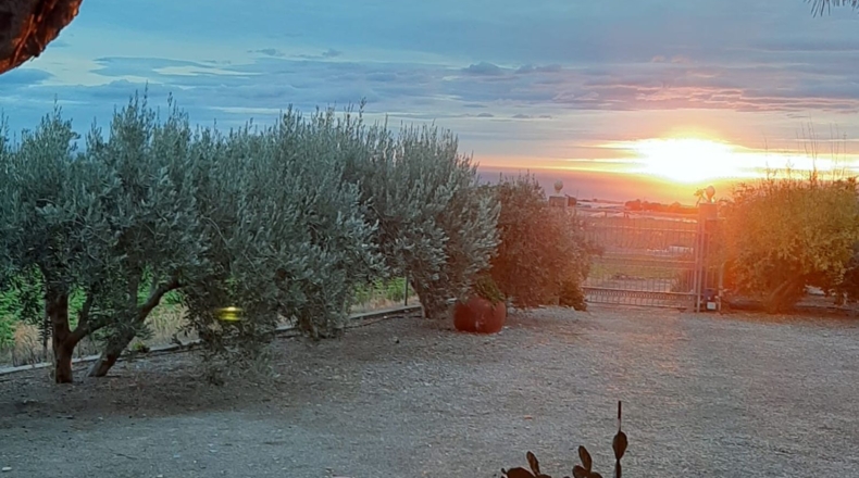 Murcia - Águilas - 6000m2