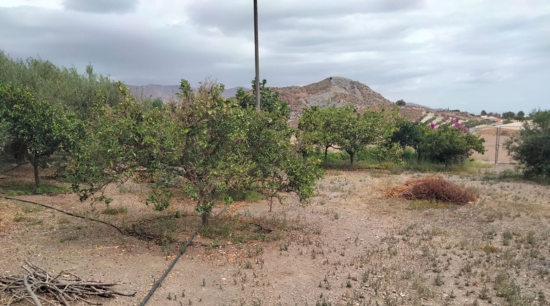 Murcia - Águilas - 6000m2