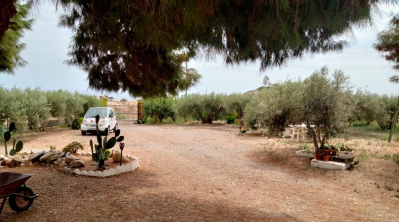 Murcia - Águilas - 6000m2