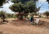 Casa de camp amb terreny en venda a Àguiles ref.: TR254653 foto