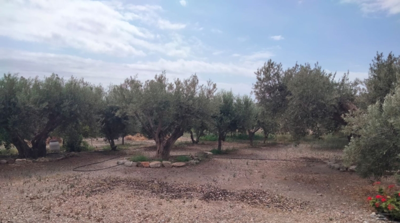 Murcia - Águilas - 6000m2