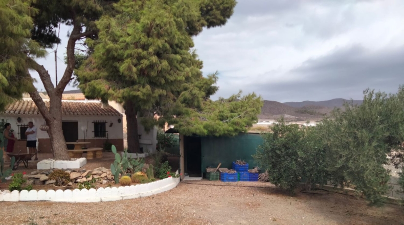 Murcia - Águilas - 6000m2