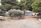Casa de camp amb terreny en venda a Àguiles ref.: TR254653 foto