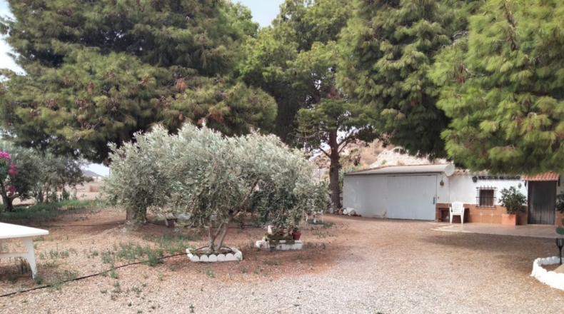 Murcia - Águilas - 6000m2