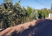 Sòl urbà en venda a Palomares del Río ref.: TR45468 foto