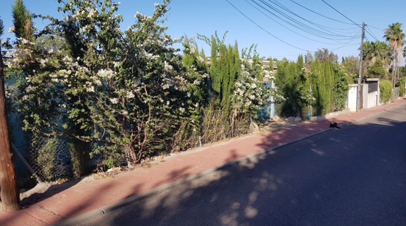 Sevilla - Palomares del Río - 1681m2