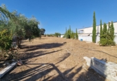 Sòl urbà en venda a Palomares del Río ref.: TR45468 foto