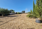Sòl urbà en venda a Palomares del Río ref.: TR45468 foto