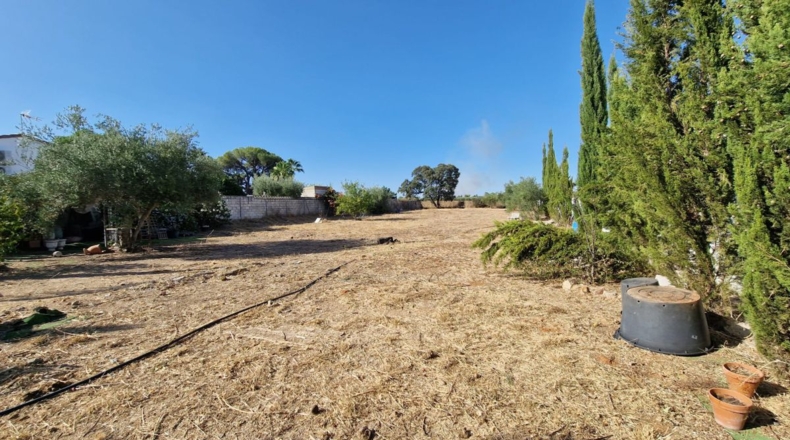 Sevilla - Palomares del Río - 1681m2