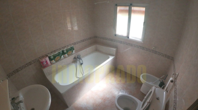 Málaga - Villanueva del Trabuco - 800m2