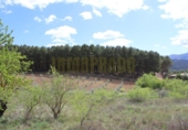 Vil·la amb terreny en venda a Villanueva del Trabuco ref.: TR35186 foto