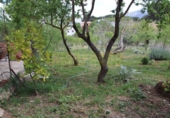 Vil·la amb terreny en venda a Villanueva del Trabuco ref.: TR35186 foto
