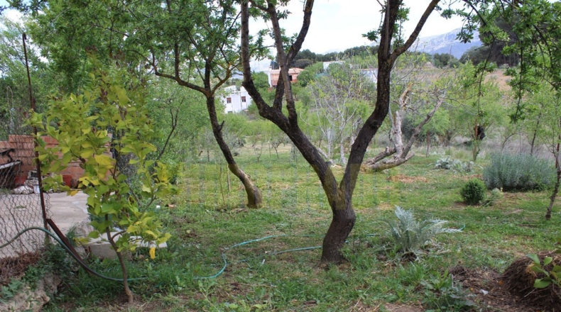 Málaga - Villanueva del Trabuco - 800m2
