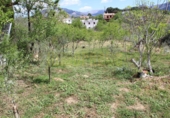 Vil·la amb terreny en venda a Villanueva del Trabuco ref.: TR35186 foto