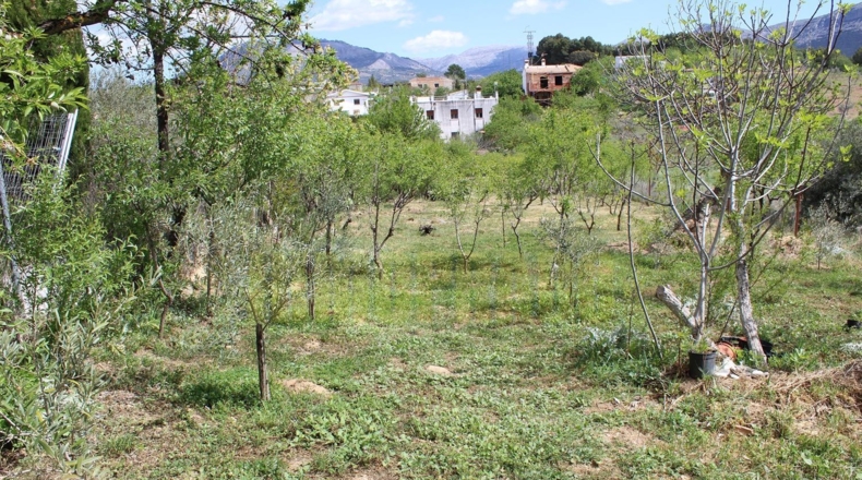 Málaga - Villanueva del Trabuco - 800m2