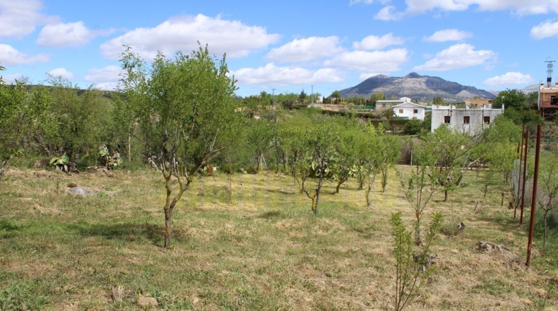 Málaga - Villanueva del Trabuco - 800m2
