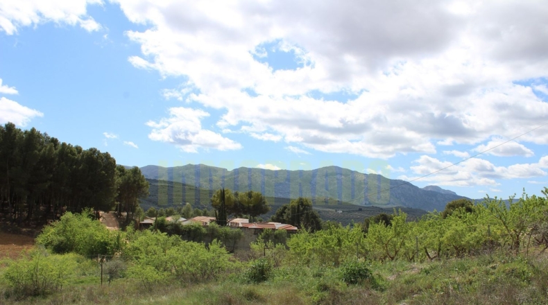 Málaga - Villanueva del Trabuco - 800m2