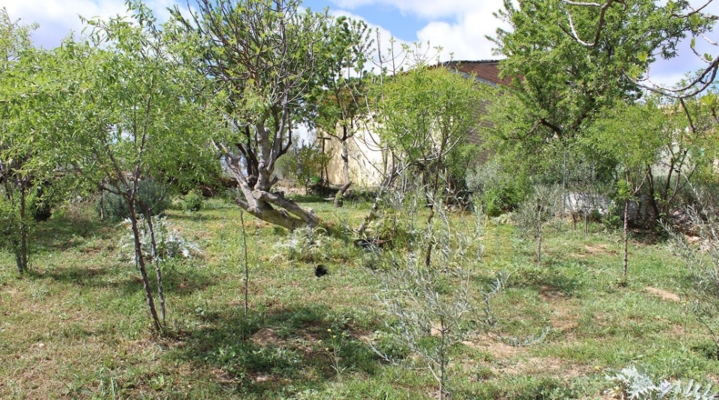 Málaga - Villanueva del Trabuco - 800m2