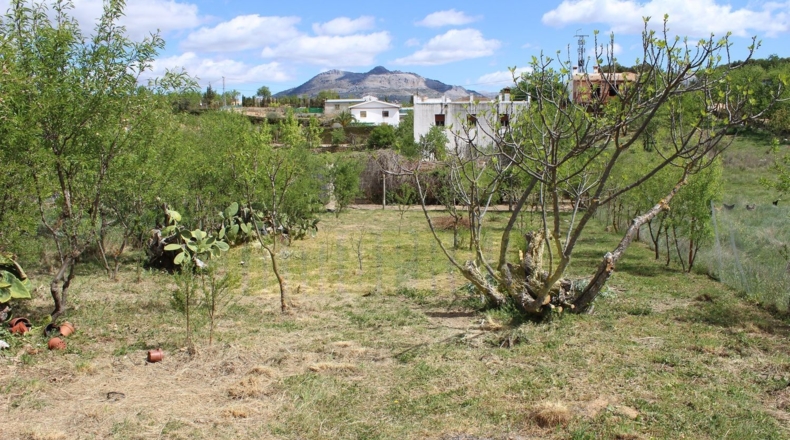 Málaga - Villanueva del Trabuco - 800m2