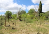 Vil·la amb terreny en venda a Villanueva del Trabuco ref.: TR35186 foto