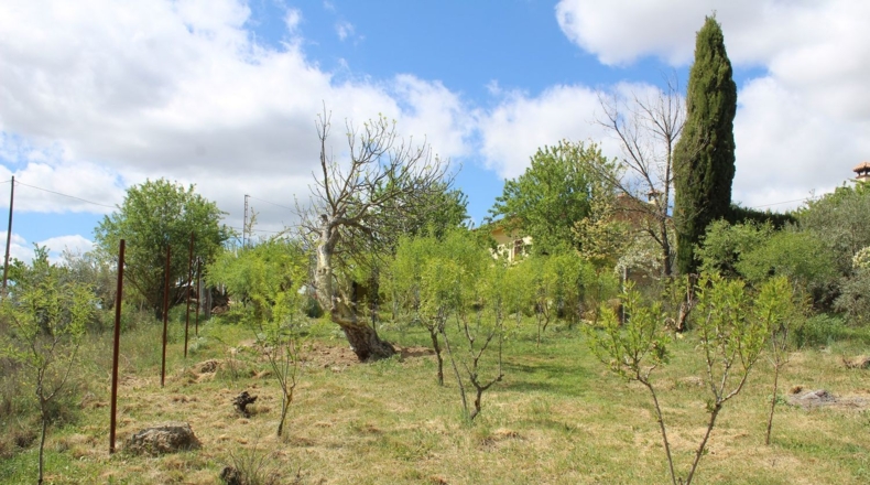 Málaga - Villanueva del Trabuco - 800m2