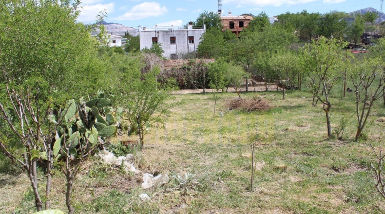 Málaga - Villanueva del Trabuco - 800m2