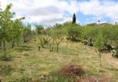 Vil·la amb terreny en venda a Villanueva del Trabuco ref.: TR35186 foto