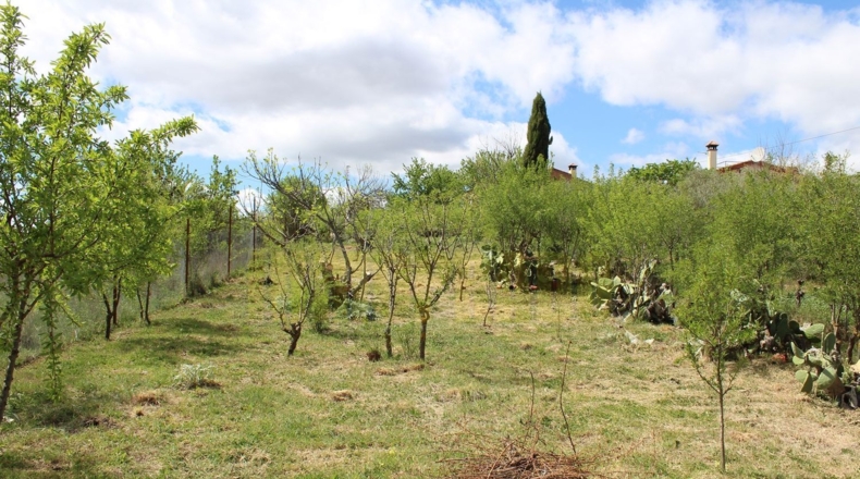 Málaga - Villanueva del Trabuco - 800m2