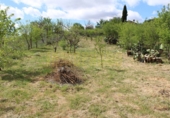 Vil·la amb terreny en venda a Villanueva del Trabuco ref.: TR35186 foto