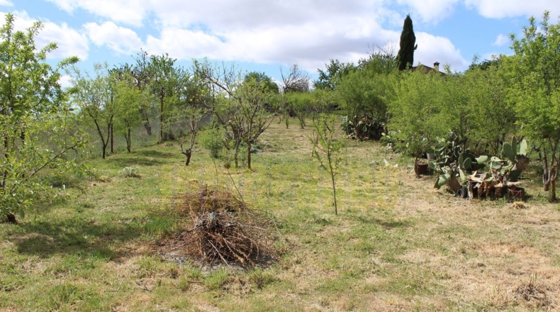 Málaga - Villanueva del Trabuco - 800m2