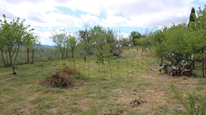 Málaga - Villanueva del Trabuco - 800m2