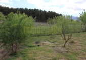 Vil·la amb terreny en venda a Villanueva del Trabuco ref.: TR35186 foto