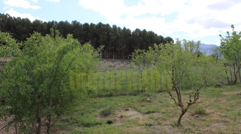 Málaga - Villanueva del Trabuco - 800m2
