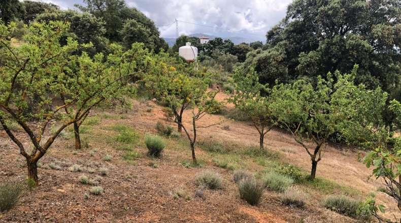Málaga - Villanueva del Rosario - 27000m2