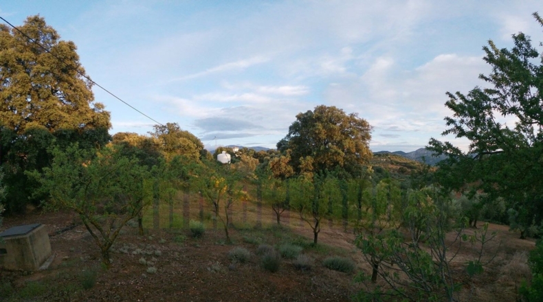 Málaga - Villanueva del Rosario - 27000m2