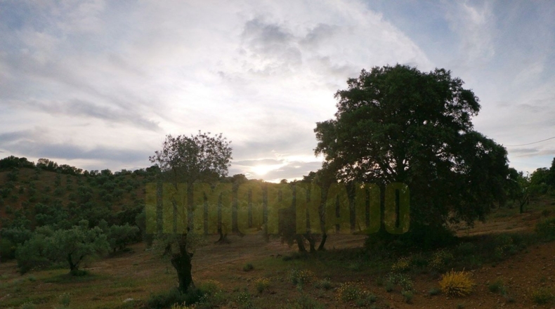 Málaga - Villanueva del Rosario - 27000m2