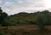 Vil·la amb terreny en venda a Villanueva del Rosario ref.: TR12771 foto