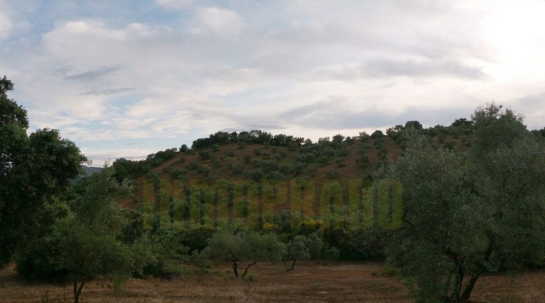 Málaga - Villanueva del Rosario - 27000m2