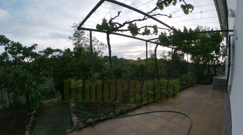 Málaga - Villanueva del Rosario - 27000m2