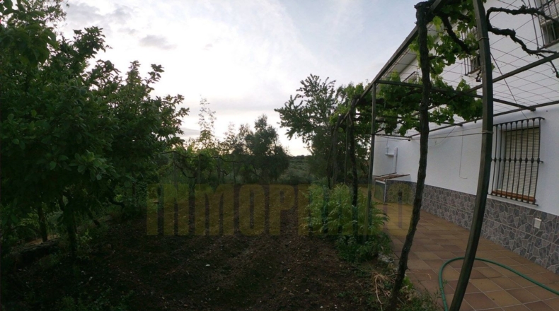 Málaga - Villanueva del Rosario - 27000m2
