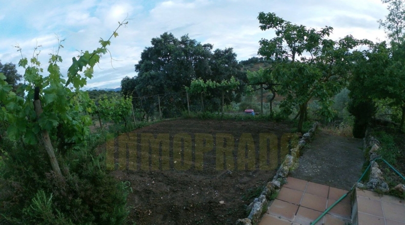Málaga - Villanueva del Rosario - 27000m2