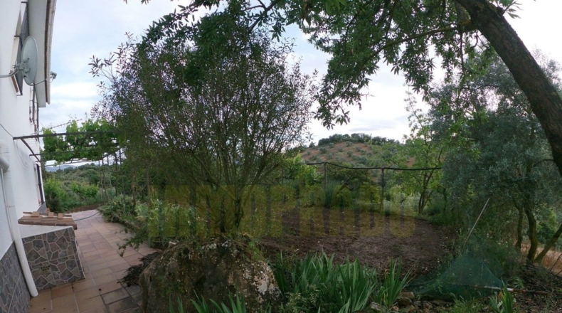 Málaga - Villanueva del Rosario - 27000m2