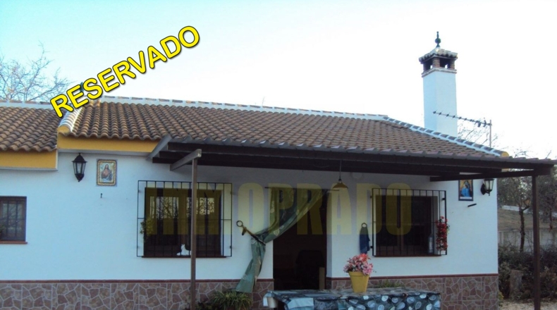 Málaga - Villanueva del Rosario - 6000m2