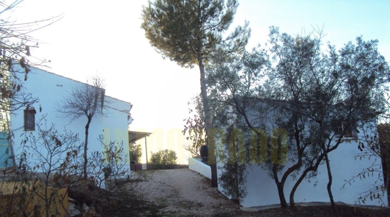 Málaga - Villanueva del Rosario - 6000m2