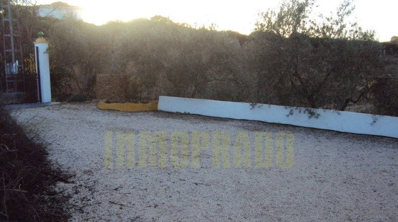 Málaga - Villanueva del Rosario - 6000m2