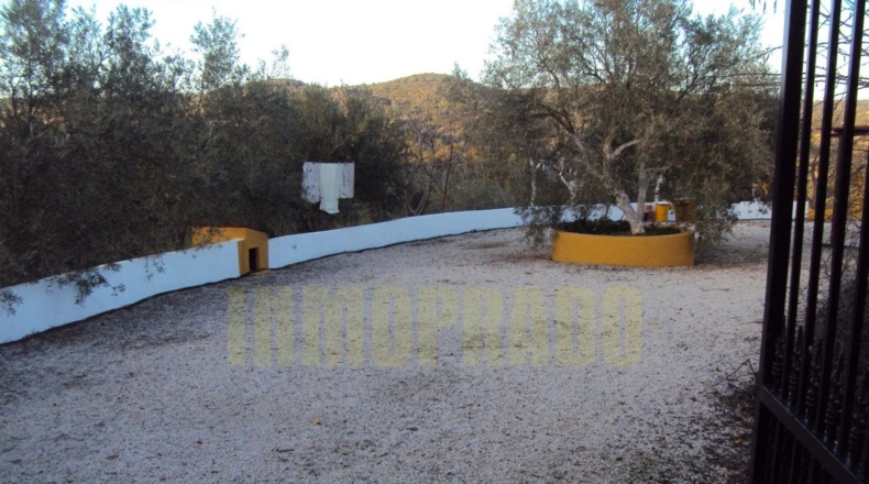 Málaga - Villanueva del Rosario - 6000m2